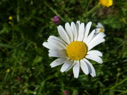 small-P1020965